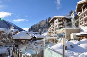 冬天的Hotel Alpine Palace