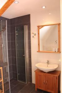 奥茨塞巴德·迪尔哈根Hauptdeck的浴室配有盥洗盆和带镜子的淋浴