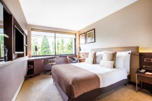 日内瓦日内瓦皇冠假日酒店的酒店客房设有一张大床和一张书桌。