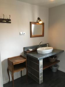 坎特赞Au Coeur d'Alsace Chambres d'hôtes的一间带水槽和镜子的浴室