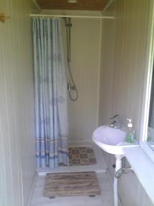撒加迪Haaviku Nature Lodge的带淋浴和盥洗盆的小浴室