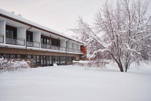 VuonislahtiHotelli Pielinen的一座有长凳和一棵树的雪覆盖的建筑
