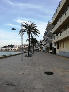 兰卡Apartament Passeig Maritim的一条种有棕榈树和街灯的街道