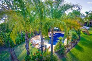 奥尔伯里Crystal Fountain Motel Albury的棕榈树泳池的顶部景色