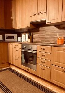 蓬卡哈尤Mannimaatila Tera Lux的厨房配有不锈钢烤箱和木制橱柜。