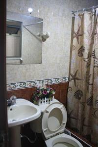 波哥大Hostel Casa Alb的一间带卫生间、水槽和镜子的浴室