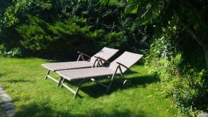 济夫努夫Willa Etna的两把椅子坐在院子里的草地上