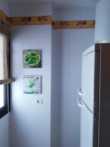 洛斯·亚诺斯·德·阿里丹Miguelangelo的厨房配有冰箱和墙上的照片