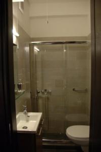 卡兰巴卡Thalia Rooms的带淋浴、卫生间和盥洗盆的浴室