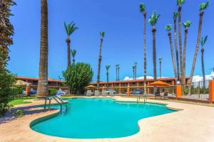 凤凰城机场市中心豪生酒店的一座棕榈树环绕的游泳池