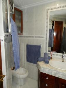 桑亨霍Silgar I的一间带水槽、卫生间和镜子的浴室