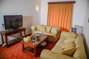 阿尔塔阿尔塔宫殿酒店的客厅配有两张沙发和一台电视机