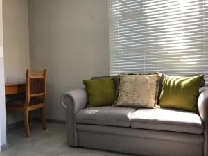 帕尔5 on Pieter Hugo的客厅里配有带绿色枕头的沙发