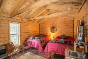 McCarthyBlackburn Cabins - McCarthy, Alaska的木墙客房的两张床
