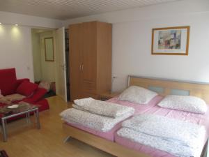 弗莱堡Im Zentrum Am Hebelhof 1Zi.的一间卧室配有粉红色的床和红色的沙发