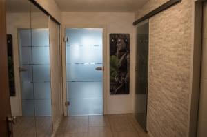 沙伊代格Rosenalm - Appartement 30的走廊设有玻璃门和镜子