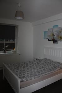 吕贝克Andrea的一间卧室设有一张床和一个窗口