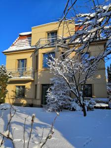 布拉格维拉克罗辛卡公寓的前面有一棵树,有雪盖的房子