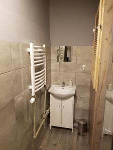 克拉科夫Libroom的浴室设有白色水槽和镜子