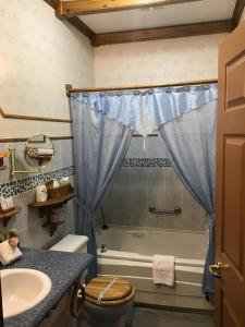圣弗朗索瓦小河金色旅馆的带淋浴、卫生间和盥洗盆的浴室