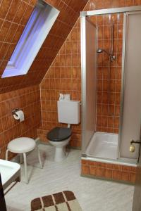 VeringenstadtLauchertstüble的一间带卫生间和淋浴的浴室