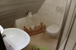 VeringenstadtLauchertstüble的一间带卫生间和水槽的小浴室