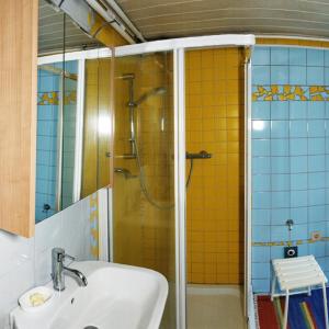 格明德Ferienwohnung Blockheide的带淋浴、盥洗盆和镜子的浴室
