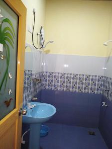 波隆纳鲁沃Udesh Guest的浴室配有蓝色水槽和淋浴。