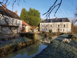 Épeigné-les-Bois布尔格磨坊旅馆的一只猫站在一座建筑物前面的河边