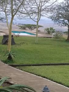 NongomaThokazi Royal Lodge的草地庭院,设有游泳池和树木