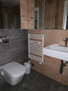 尤斯托尼莫斯基Apartament na Klifie DUNE的一间带卫生间和水槽的浴室