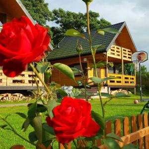 斯维诺乌伊希切Domki Letniskowe Zbyszko的前面有红玫瑰的房子