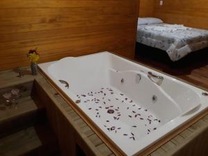 Pousada rio canoas的一间浴室