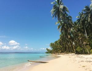 El PorvenirPlay to Live San Blas的两棵棕榈树和大海的海滩
