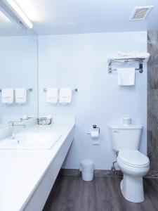 埃德蒙顿阿盖尔广场酒店 的白色的浴室设有卫生间和水槽。