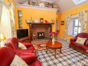 基拉尼Longfield Lodge的客厅配有红色皮革家具和壁炉