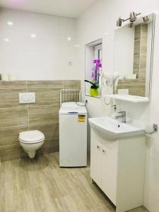卡罗维发利Panorama Apartments的一间带卫生间和水槽的浴室