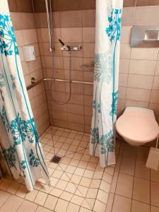利萨赫Hotel Lyssach的带淋浴帘和卫生间的浴室