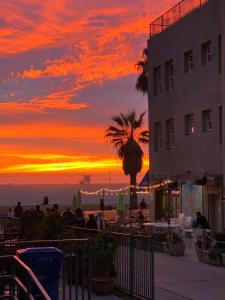 洛杉矶威尼斯苏卡萨海滩酒店的海滩上的日落,有一座建筑和一棵棕榈树