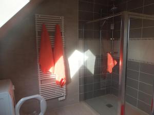 Barbevillechez diane的一间带红色毛巾淋浴的浴室