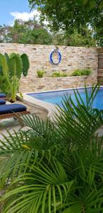 巴卡拉尔Poza Clara Sanctuary的一个带两把椅子和植物的游泳池,靠近围栏