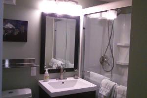 波特兰Boutique Style Apartment in the heart of SE的浴室配有盥洗盆和带镜子的淋浴