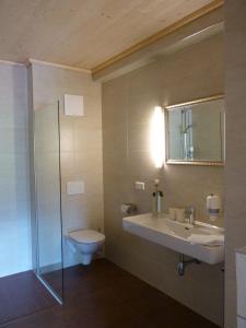 奥西阿赫斯蒂夫切梅德奥西阿赫酒店的一间带水槽、卫生间和镜子的浴室