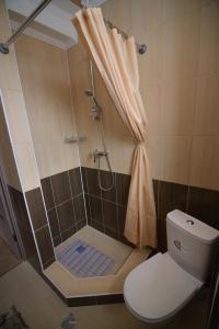 亚布卢尼齐亚Ozone minihotel的带淋浴、卫生间和浴帘的浴室