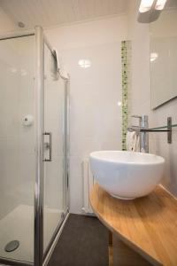 拉罗谢尔巴黎酒店的浴室配有大型白色水槽和淋浴。