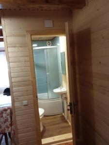 亚布卢尼齐亚Котеджі "У Яни"的一间带卫生间和水槽的小浴室