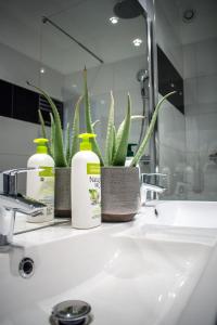 波尔多La Maison de Valentine的浴室水槽配有两瓶肥皂和植物