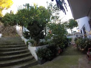 Casa Rural el Patio外面的花园