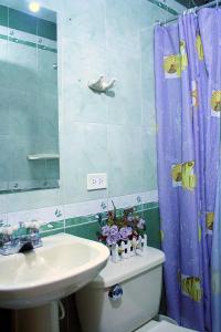 波哥大Hostel Casa Alb的一间带水槽和淋浴帘的浴室