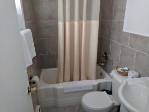 金斯顿山顶汽车旅馆的一间带卫生间和淋浴帘的浴室